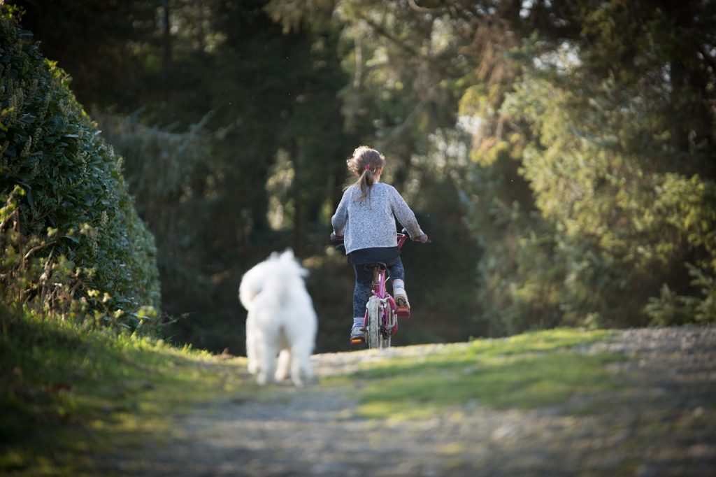 Radfahren mit dem Hund?